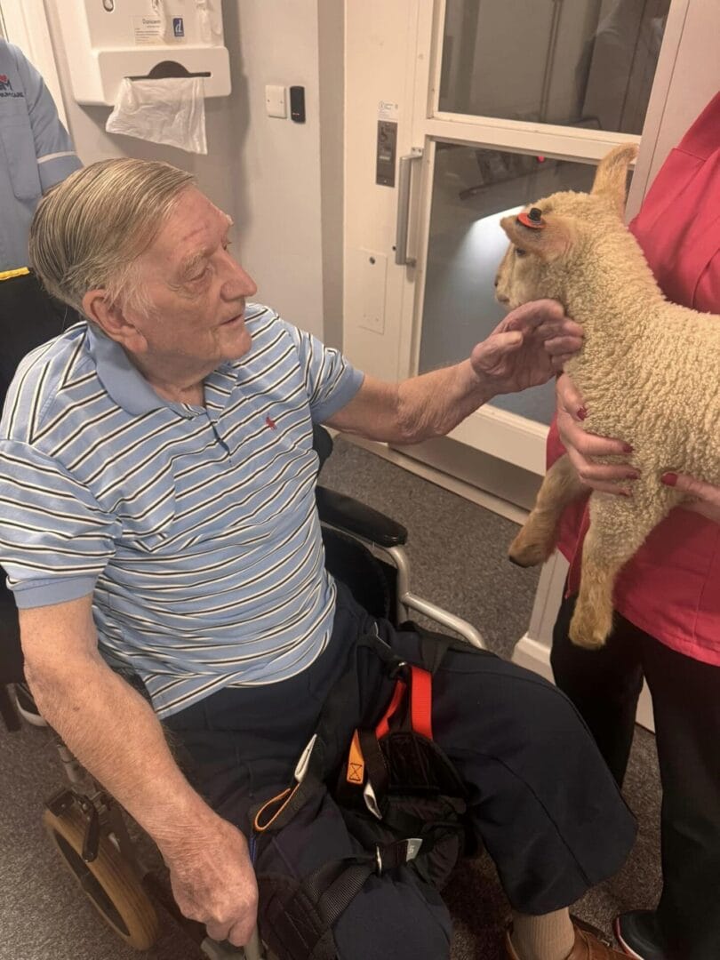 Care Home Activities