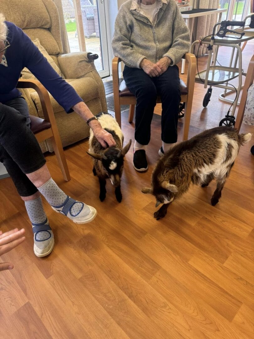 Care Home Activities