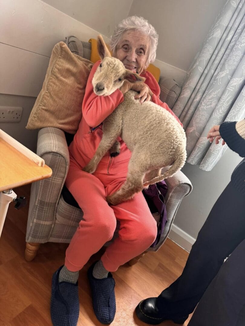 Care Home Activities