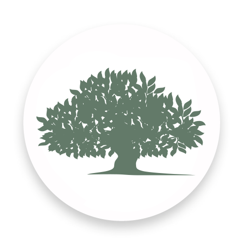 Springfield Care Homes in Hampshire