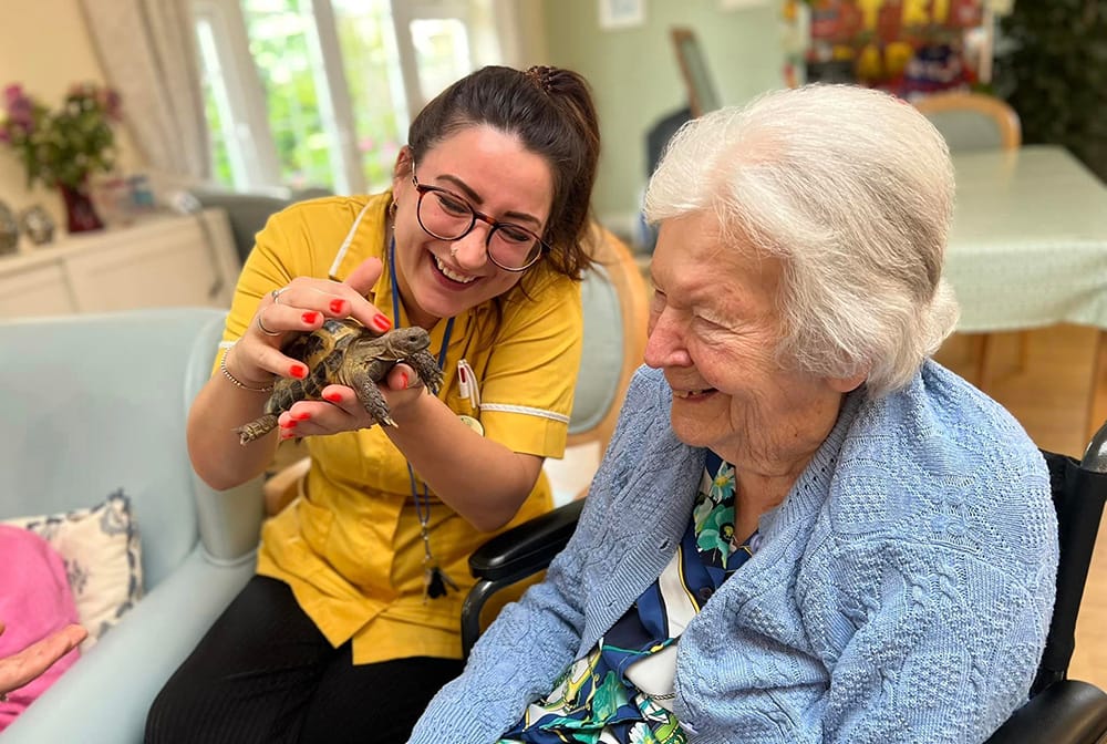 Care Home Activities