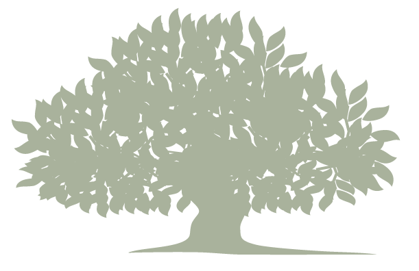 Springfield Care Homes