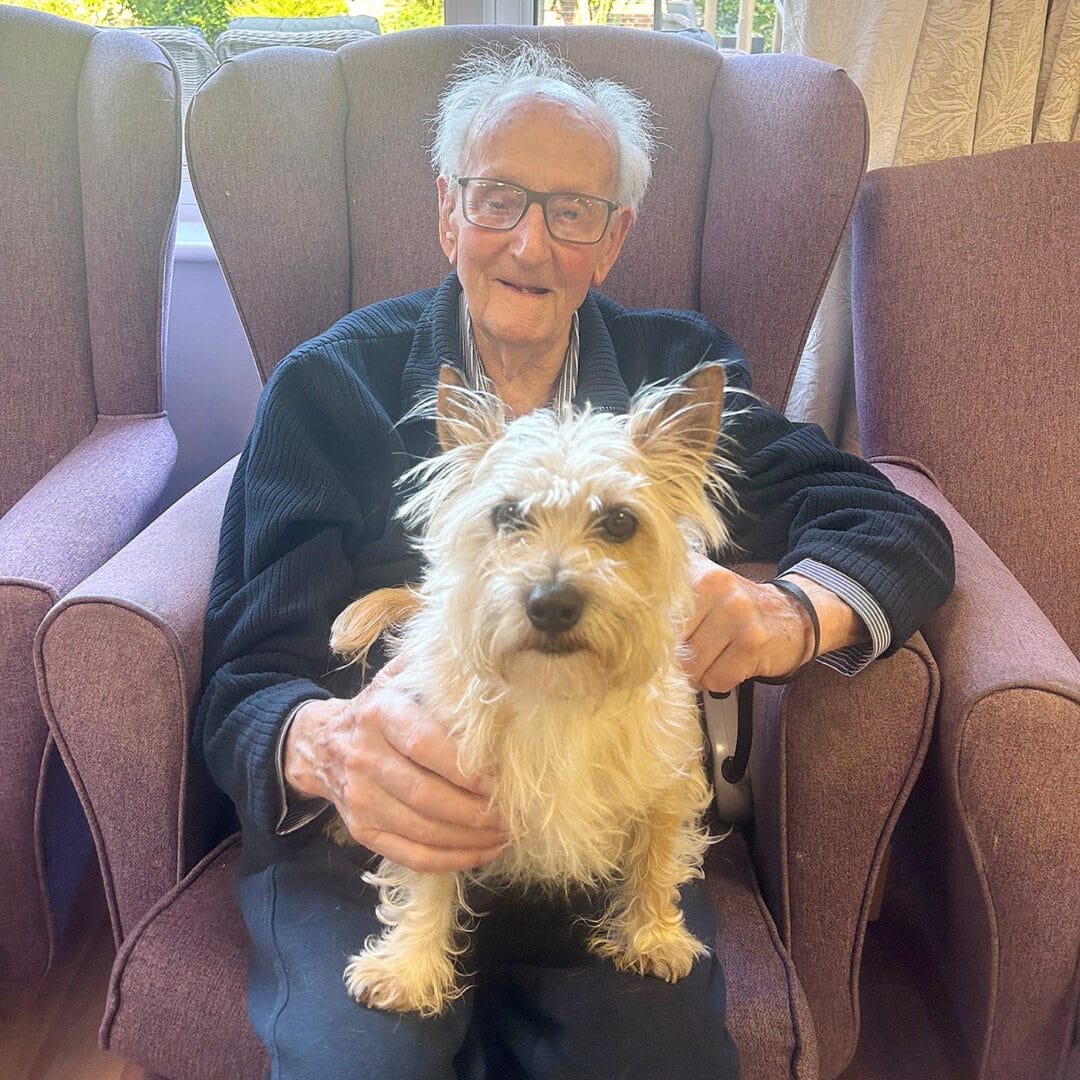 Springfield-Good-News-Raymond-and-Reggie-the-dog